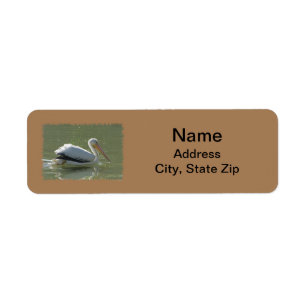 Pelicisches Foto West Coast Bird Lover