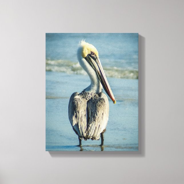 Pelikan am Strand von Florida Leinwanddruck (Vorderseite)
