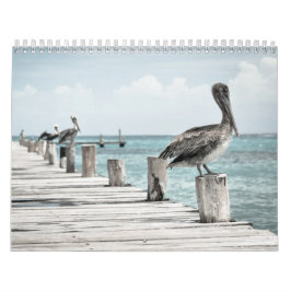 Pelikan an der Küste Kalender