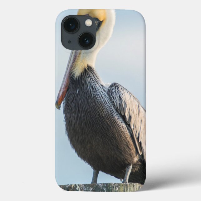 Pelikan auf Pylon Case-Mate iPhone Hülle (Rückseite)