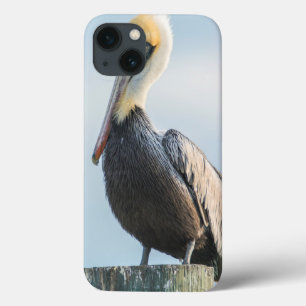 Pelikan auf Pylon sitzend Case-Mate iPhone Hülle