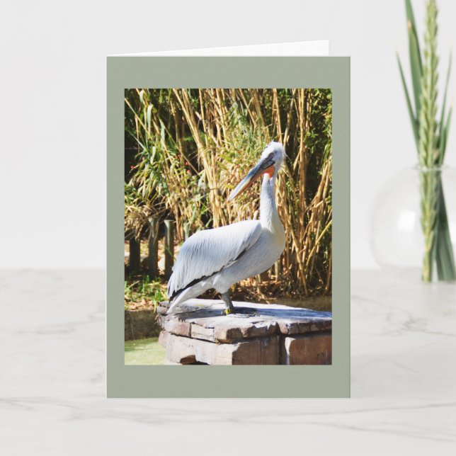 Pelikan Feiertagskarte (Vorderseite)