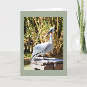 Pelikan Feiertagskarte