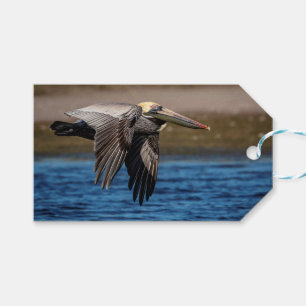Pelikan Geschenkanhänger