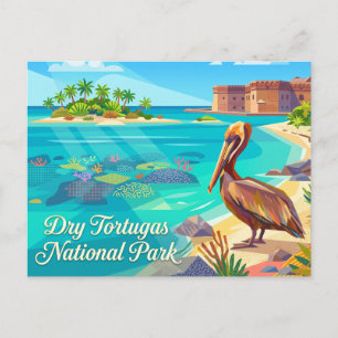 Pelikan im Dry Tortugas National Park Florida Postkarte