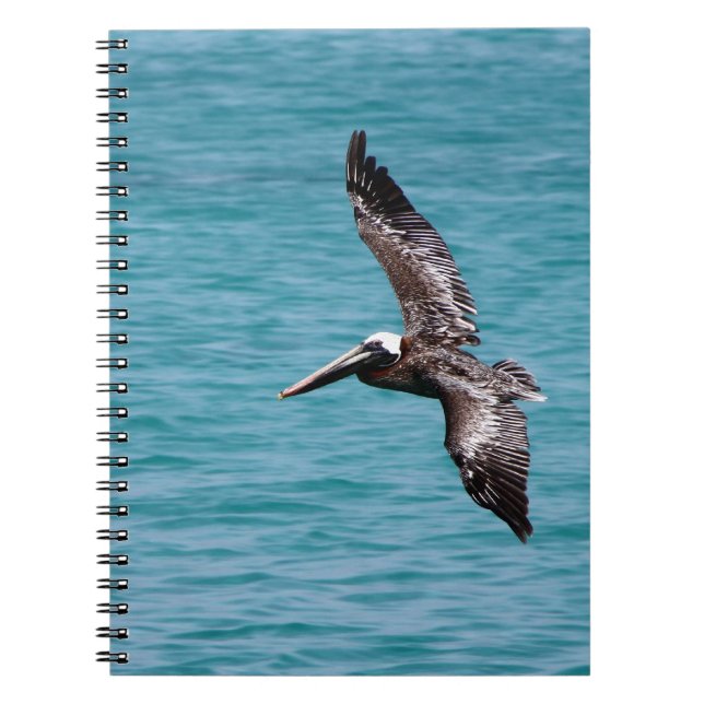 Pelikan im Flug Notizblock (Vorderseite)