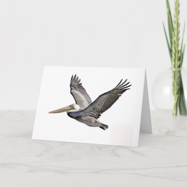 Pelikan klar karte (Vorderseite)