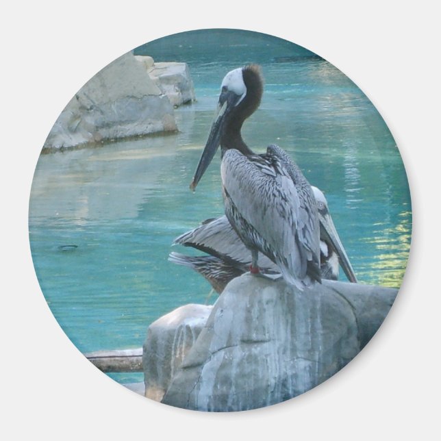 Pelikan Magnet (Vorne)