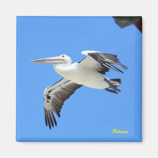 Pelikan Magnet (Vorne)