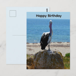 Pelikan mit dem Blick, Geburtstagspostkarte Postkarte