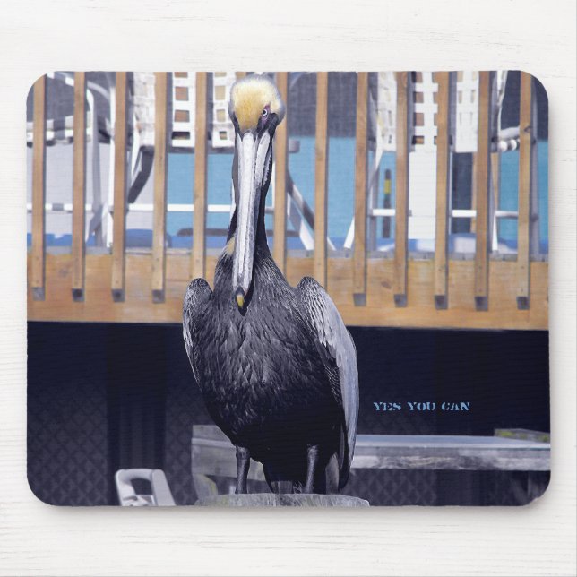 Pelikan-Power Mousepad (Vorne)