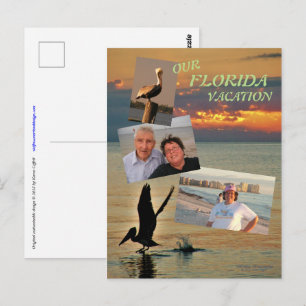 Pelikan-Start bei Sonnenuntergang Golfküste Florid Postkarte