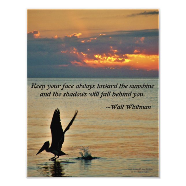 Pelikan starten bei Sonnenuntergang Golf Coast Flo Fotodruck (Vorne)