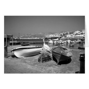 Pelikan und Boote (BandW)