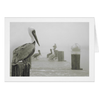 Pelikan- und Garneleboot