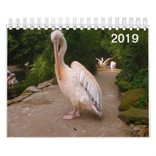 Pelikan-und Pfau-Kalender Kalender