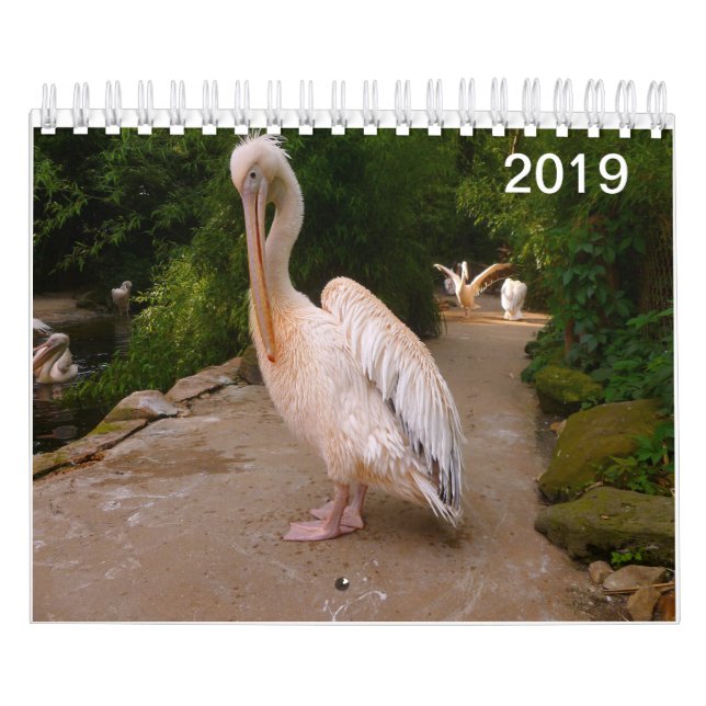 Pelikan-und Pfau-Kalender Kalender (Titelbild)