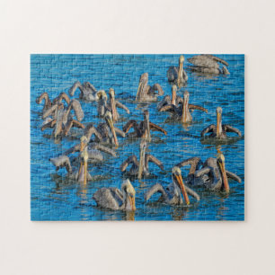Pelikan-Vogel Florida. Puzzle