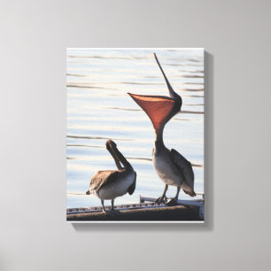 Pelikan-Vogel-Tier-Tier-Strand Leinwanddruck