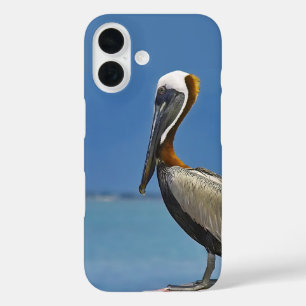 Pelikan Vogelbeobachtungsfotografie iPhone 16 Hülle