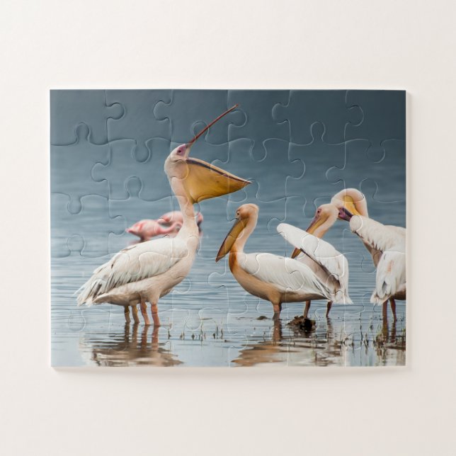 Pelikane am See Puzzle (Horizontal)