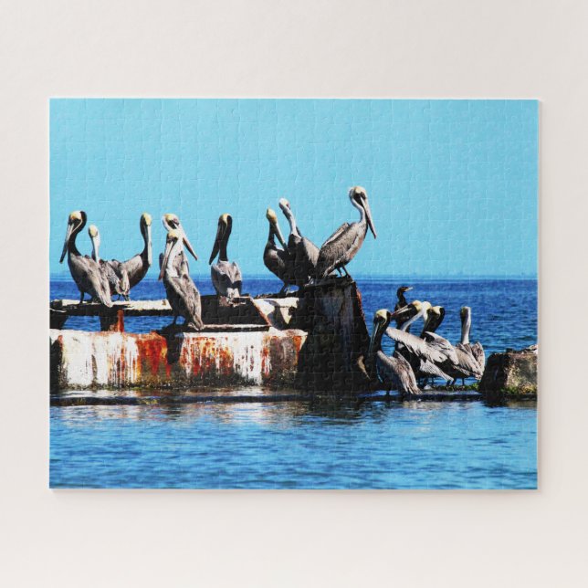 Pelikane am Ufer, Jigsaw Puzzle (Horizontal)