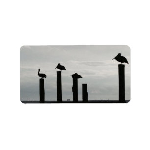 Pelikane auf dem Pier Adressaufkleber
