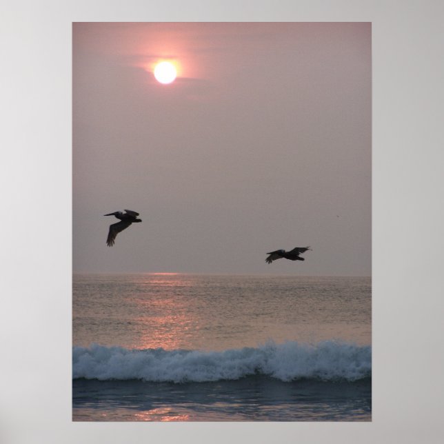 Pelikane bei Sonnenaufgang Poster (Vorne)