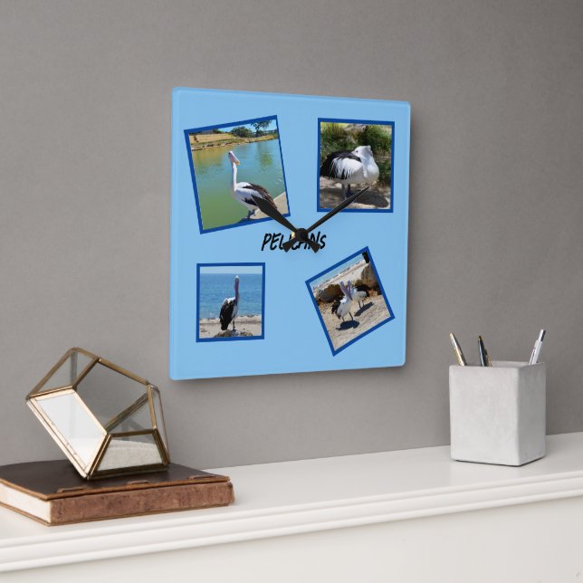 Pelikane, die weltweit Coolsten Vogel-Vier-Fotorah Quadratische Wanduhr (Büro)