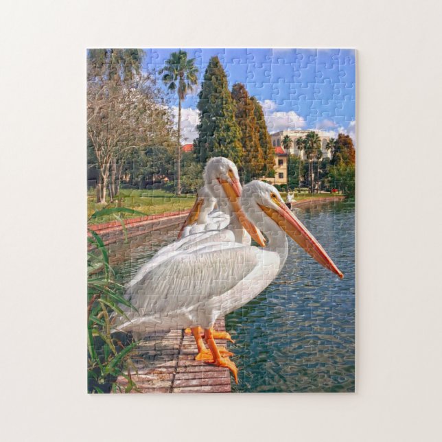 Pelikane Floridas. Puzzle (Vertikal)