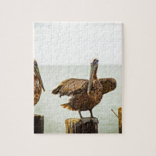 Pelikane gehockt auf Posten Puzzle