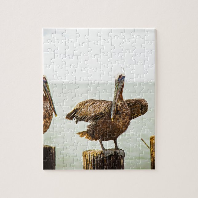 Pelikane gehockt auf Posten Puzzle (Vertikal)
