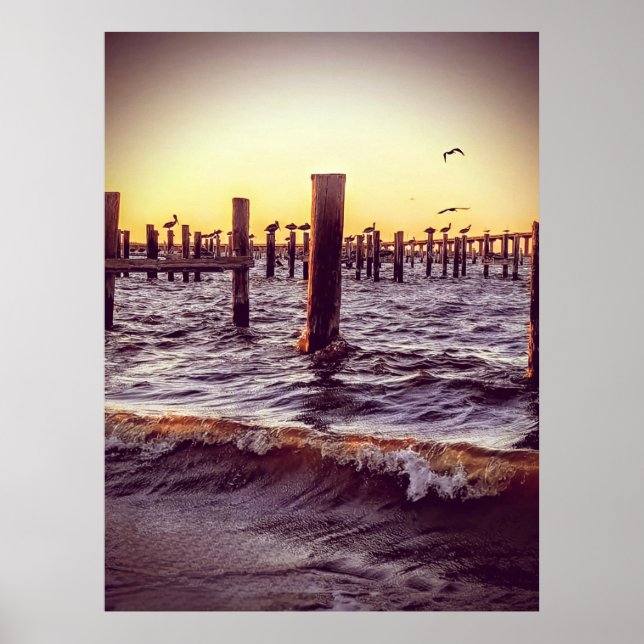 Pelikane in der Bucht Poster (Vorne)