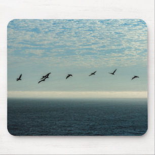 Pelikane Mousepad