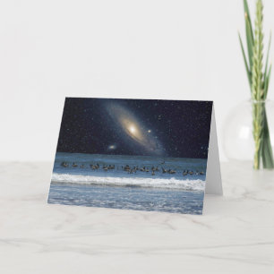 Pelikane und Andromeda-Galaxie Karte