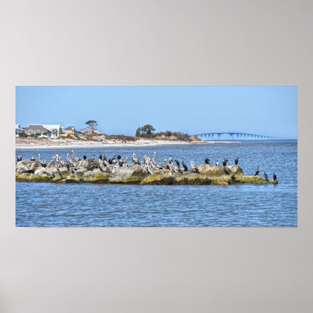 Pelikane und Kormorane und Dauphin Island Bridge Poster (Vorne)