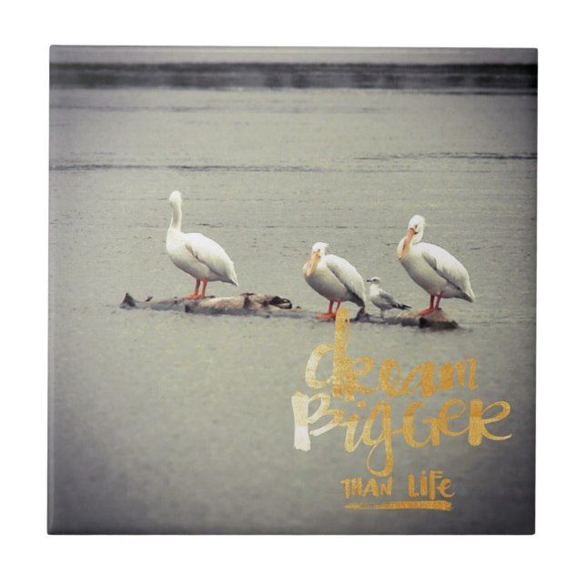 Pelikane und Seagull Dream Bigger Fliese (Vorderseite)