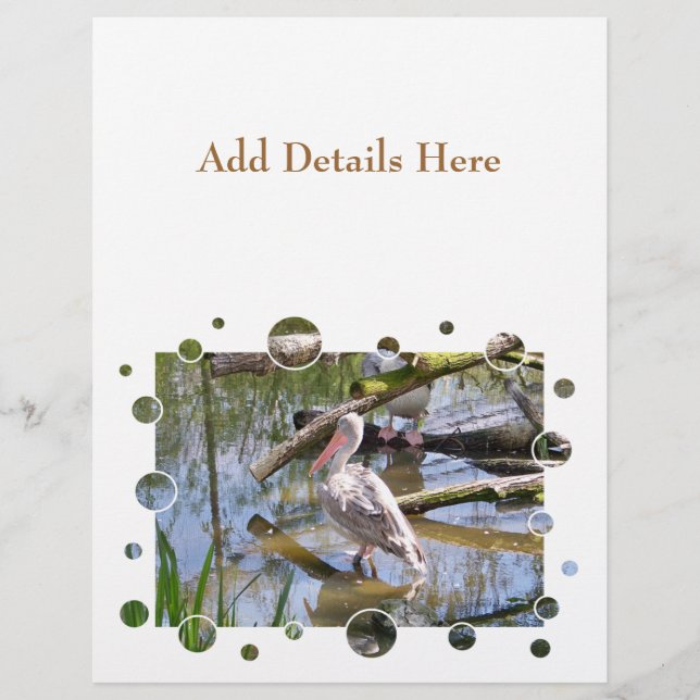 PELIKANER FLYER (Vorne)