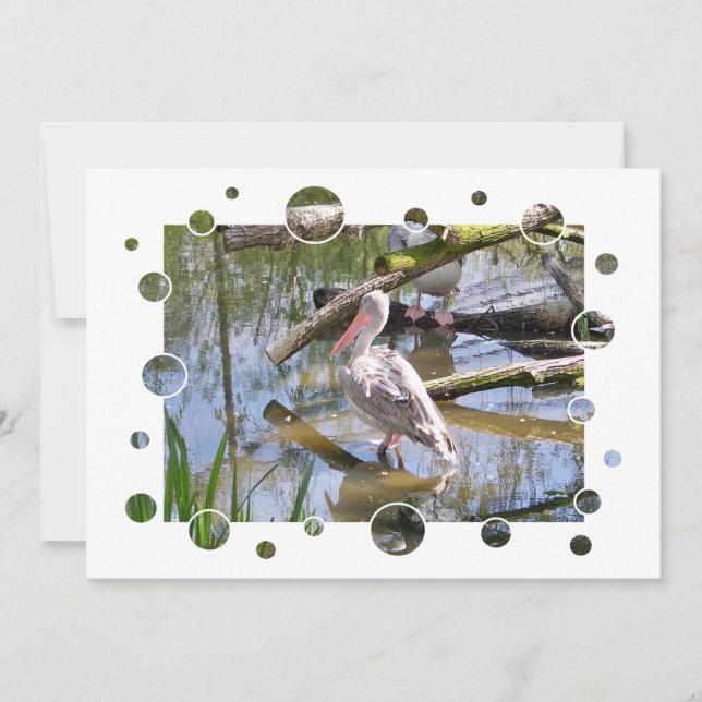 PELIKANINVITATION (Vorderseite)