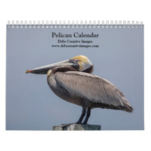 Pelikanischer Kalender 2024