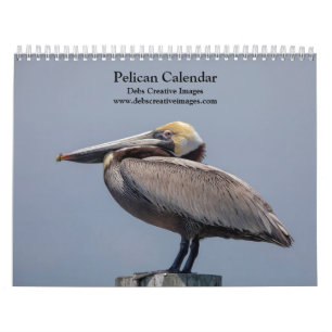Pelikanischer Kalender 2026