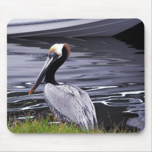 PelikanPoser Mousepad