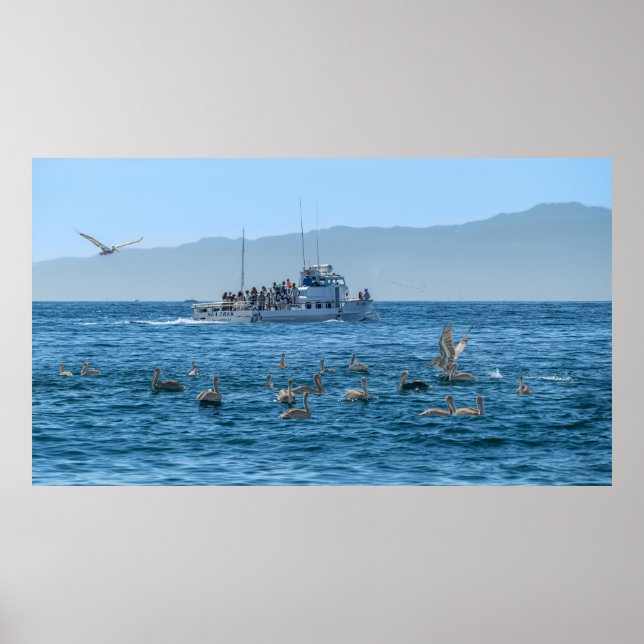Pelikans Basking & Boat - Marina Del Rey, CA Poster (Vorne)