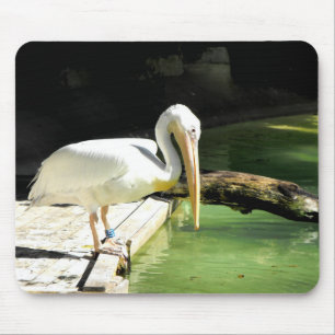 Pelikanvogel Mousepad