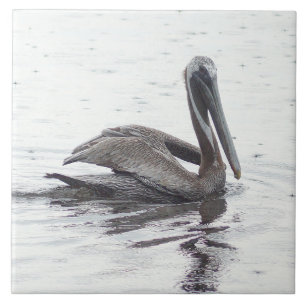 Pelikanvogelwasser Keramik-Fliese Fliese
