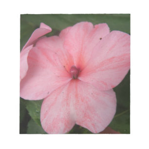 Pellrosa Impatiens Blume Notepad Notizblock