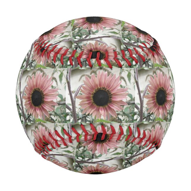 Pellrosa Sonnenblume Baseball (Vorderseite)