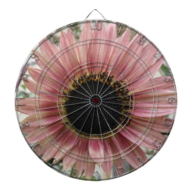 Pellrosa Sonnenblume Dartscheibe (vorne)