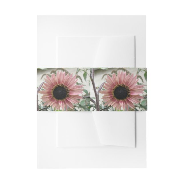 Pellrosa Sonnenblume Einladungsbanderole (Vorderseite Beispiel)