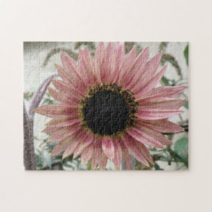 Pellrosa Sonnenblume Puzzle